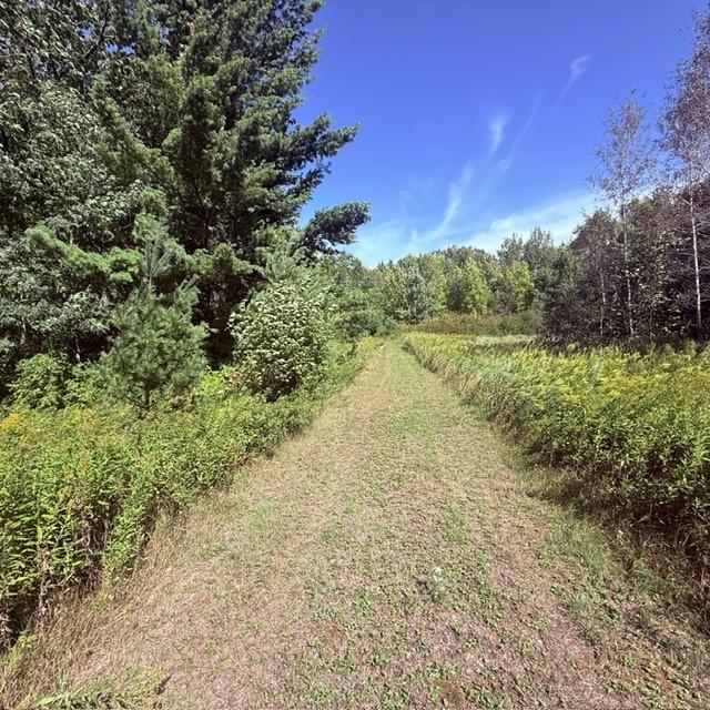 Tbd West Lilja Avenue Shell Lake, WI 54871 - Photo 1 of 23 Gallery Image 1