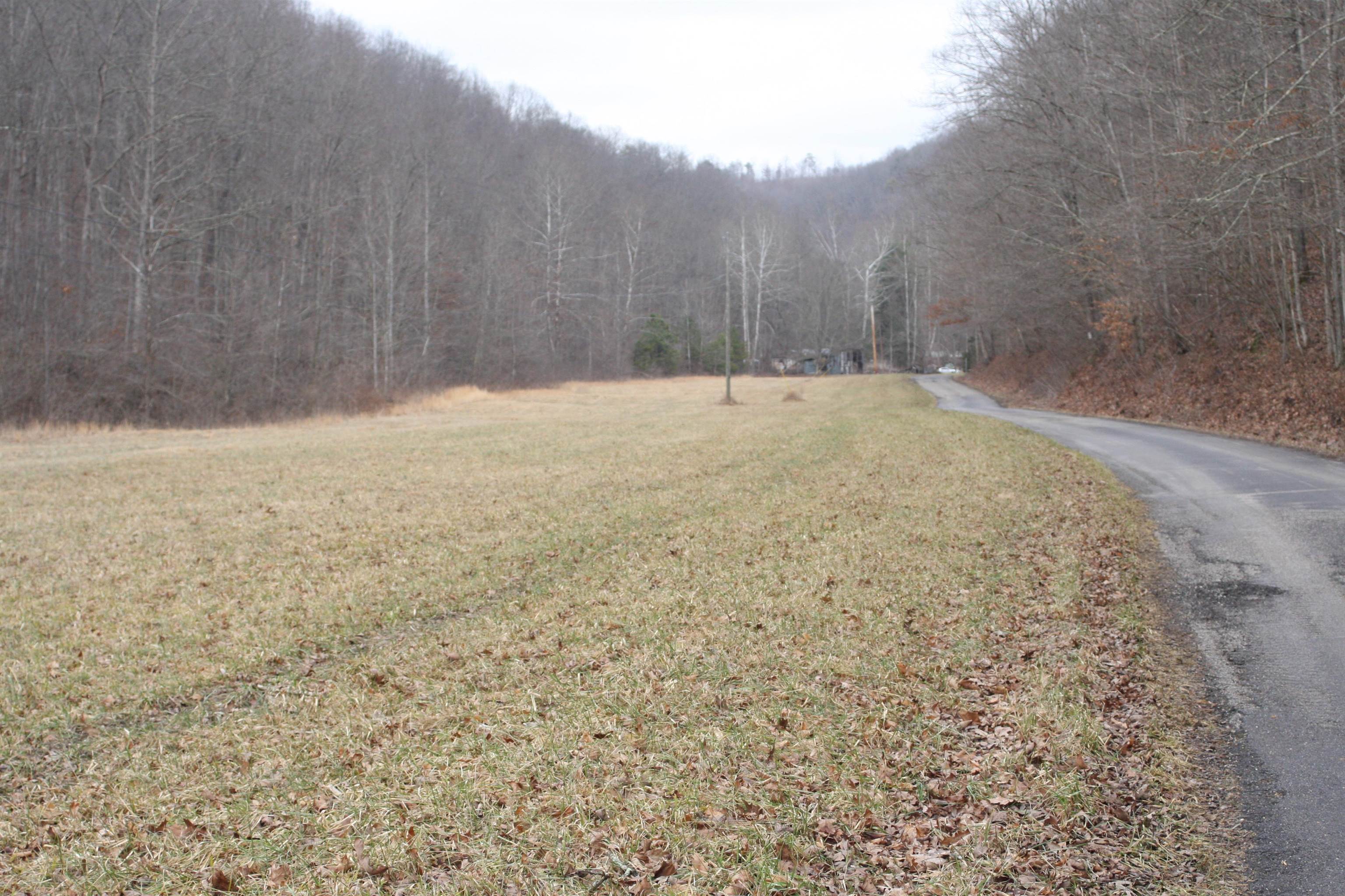 Boone Branch Road Garrison, KY 41141 - Photo 11 of 19