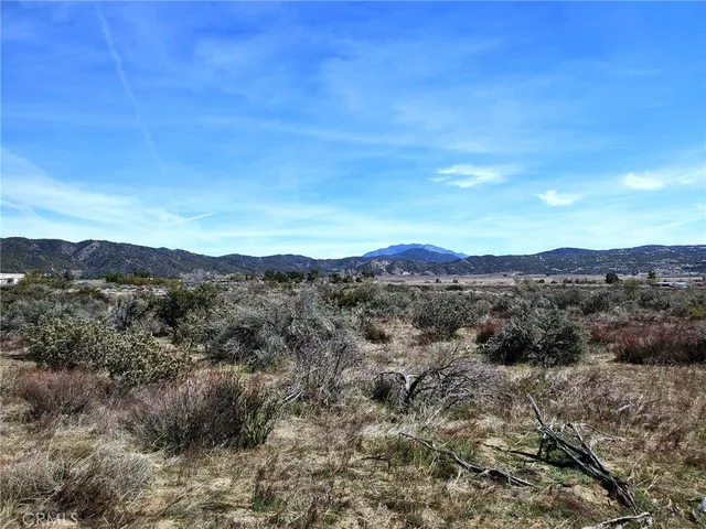 a view of a forest with mountains in the background