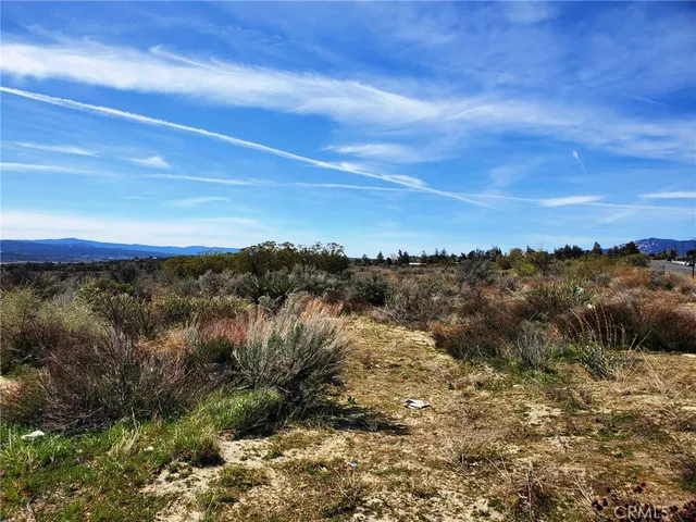 a view of a lake in middle of forest