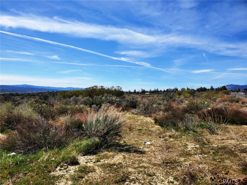 1 Mitchell Road Anza, CA 92539 - Photo 5 of 22 a view of a lake in middle of forest