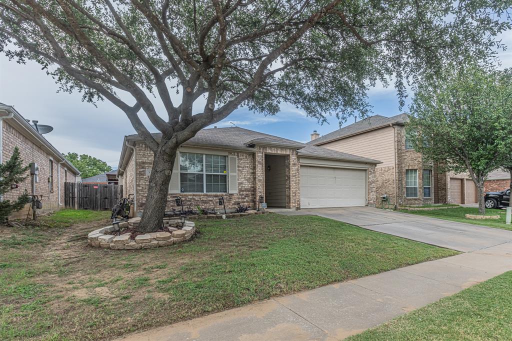 a front view of a house with a yard and tree