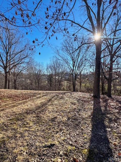 21056 Lacombe Road Waynesville, MO 65583 - Photo 8 of 10