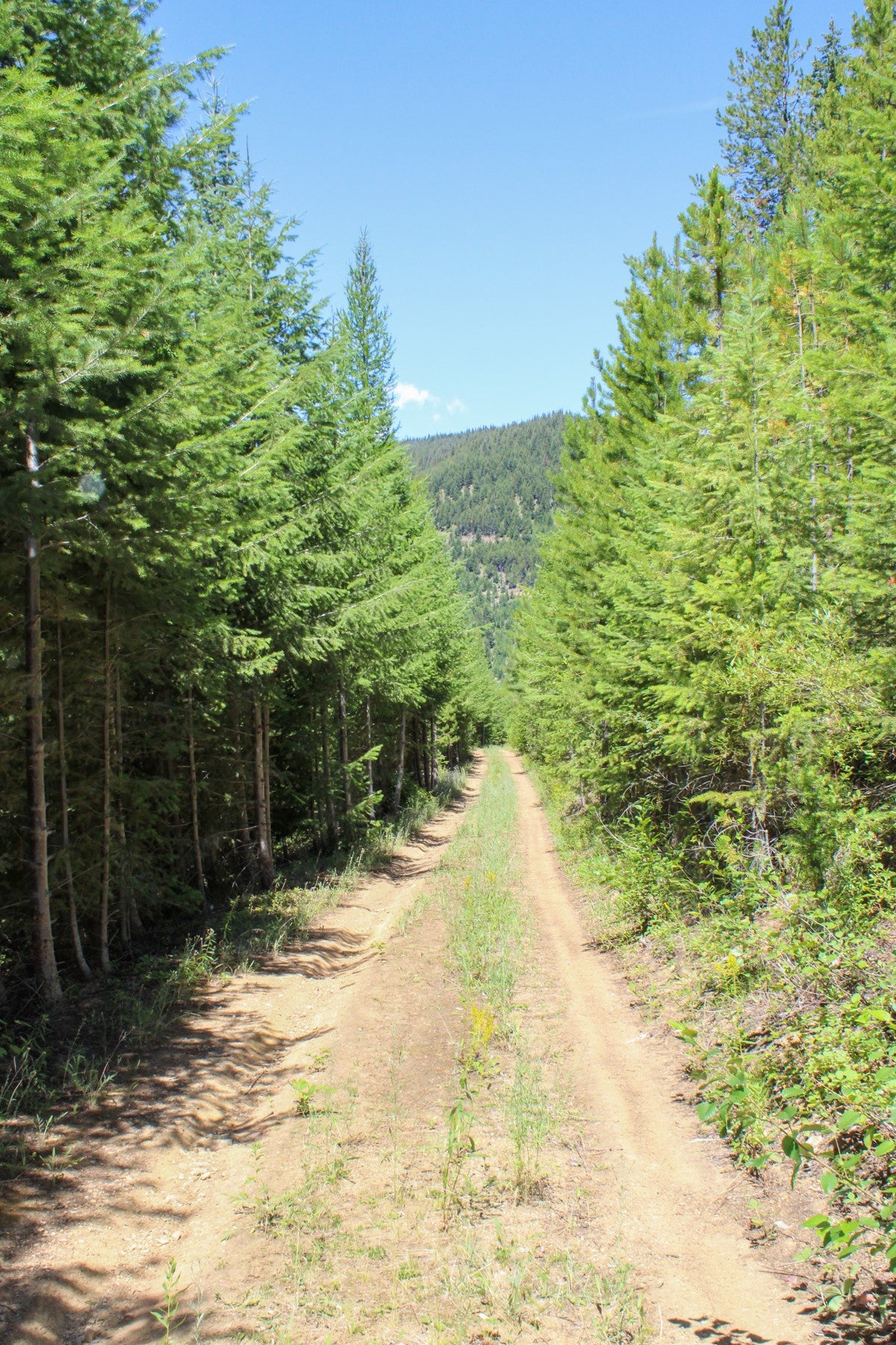 1 Pardee Flat Road Superior, MT 59872 - Photo 9 of 35 Gallery Image 9