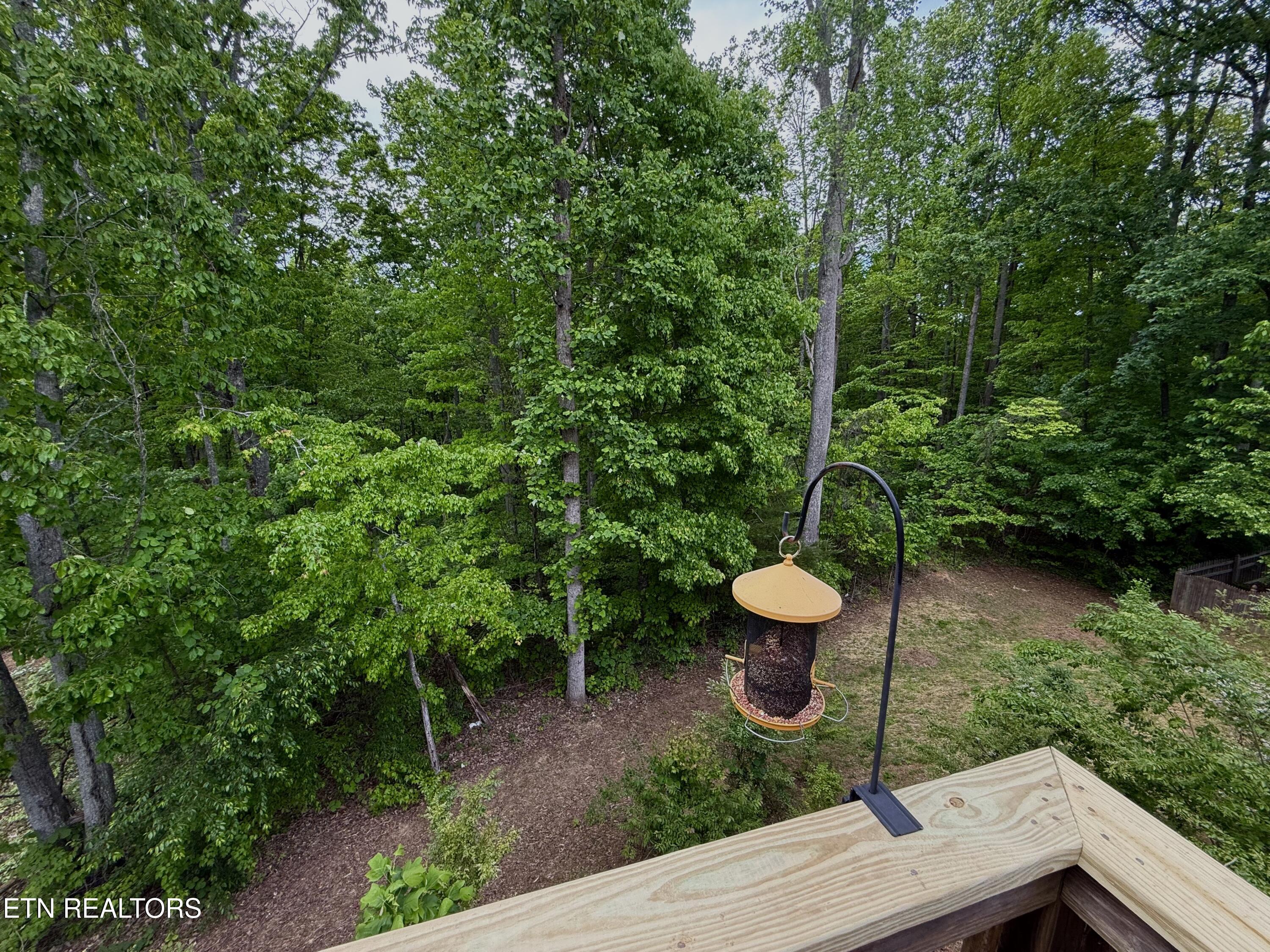 8547 Bowsong Lane Powell, TN 37849 - Photo 15 of 18 Backyard