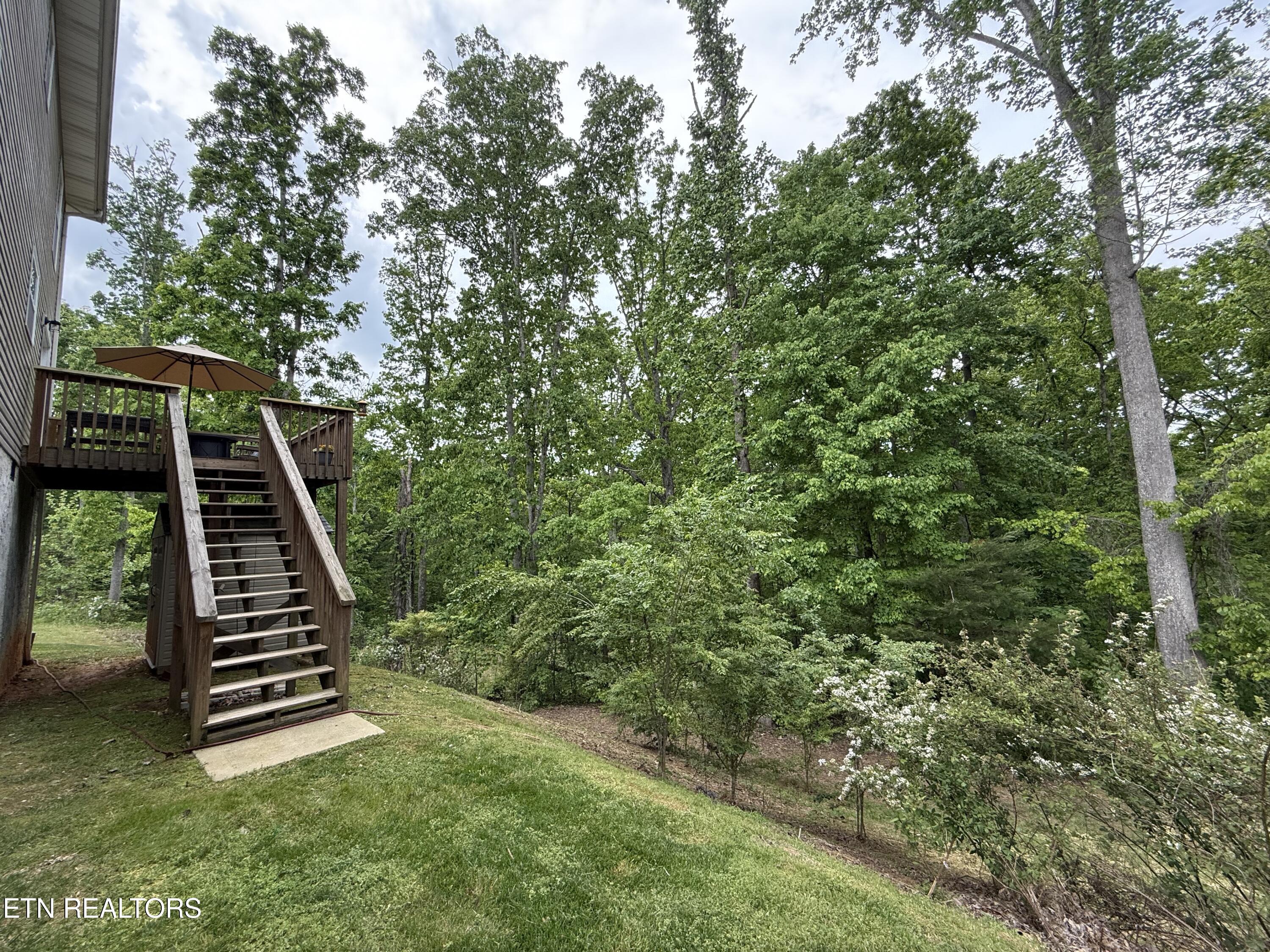8547 Bowsong Lane Powell, TN 37849 - Photo 17 of 18 Backyard 2
