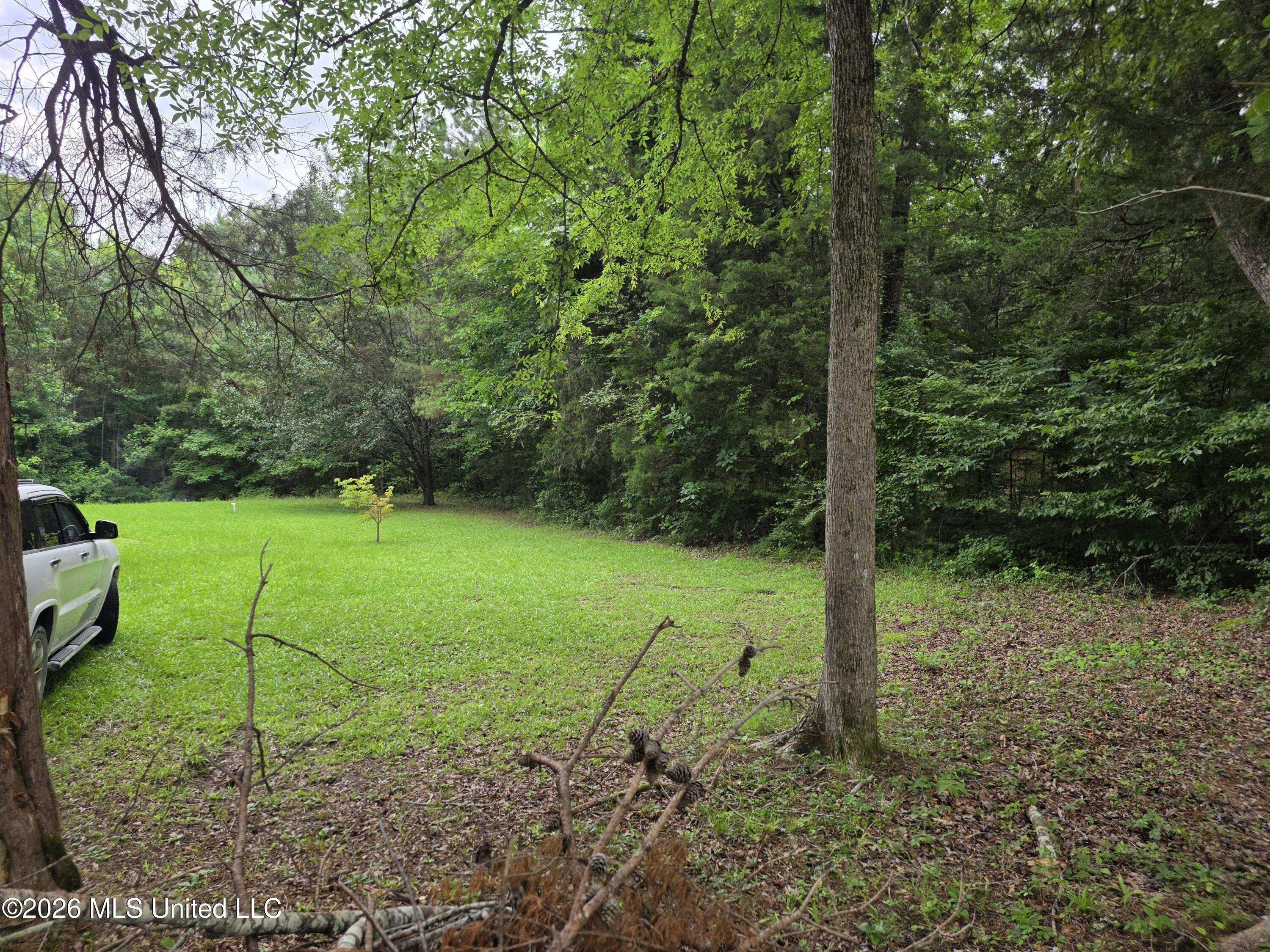 2025 Hendrix Road Coffeeville, MS 38922 - Photo 27 of 27 Frnt Yrd