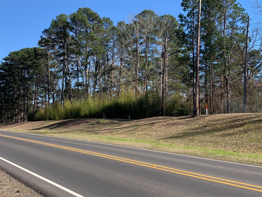 6095 Pine Hill Road Shreveport, LA 71107 - Photo 2 of 3 View of road