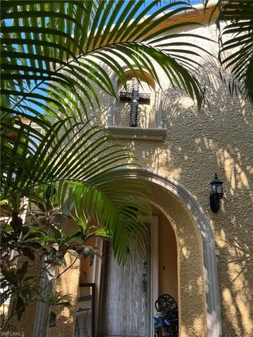 a close up of a plant