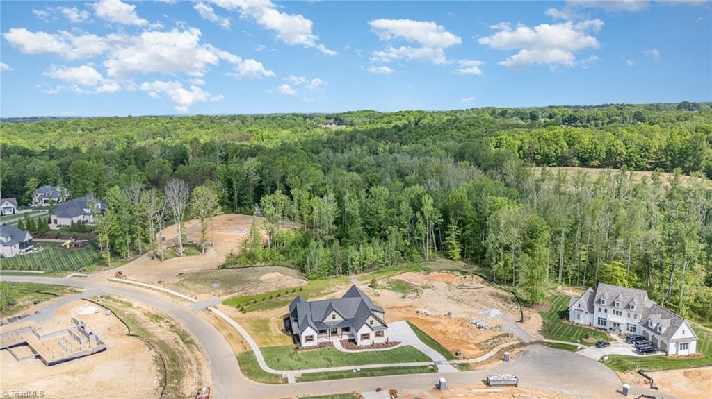 8800 Knoll Creek Oak Ridge, NC 27310 - Photo 44 of 48