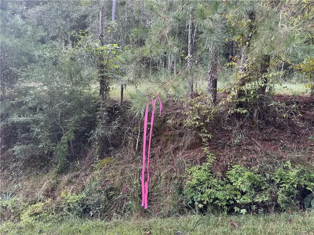 $42,500 | 741 Hughs Hill Lane Southeast, Brookhaven, MS 39601