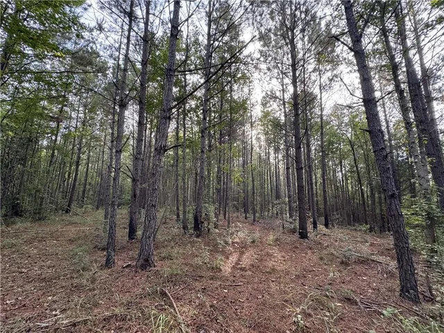 $42,500 | 741 Hughs Hill Lane Southeast, Brookhaven, MS 39601