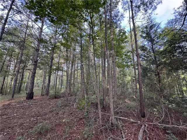 $42,500 | 741 Hughs Hill Lane Southeast, Brookhaven, MS 39601