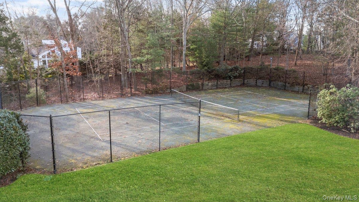 90 Rodeo Drive Syosset, NY 11791 - Photo 3 of 18 a view of a backyard