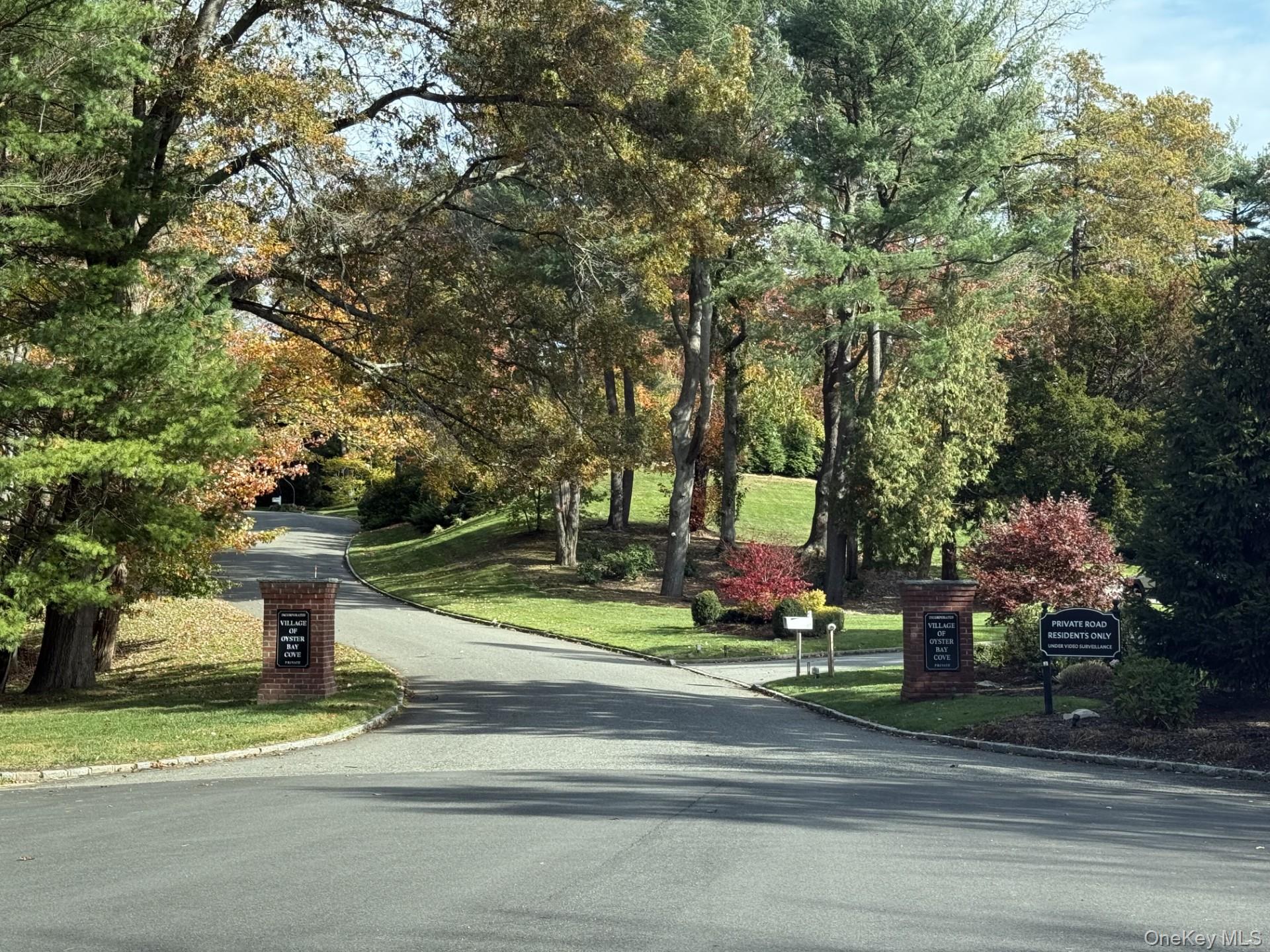 90 Rodeo Drive Syosset, NY 11791 - Photo 4 of 18 a view of street along with trees