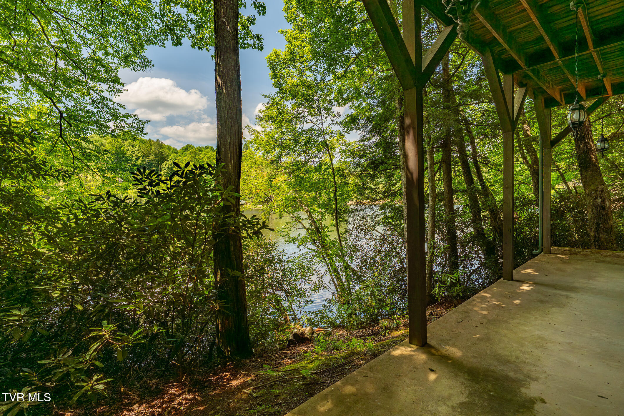 170 Ripshin Lake Road Roan Mountain, TN 37687 - Photo 53 of 64 170 Ripshin Lake Rd (24 of 73)