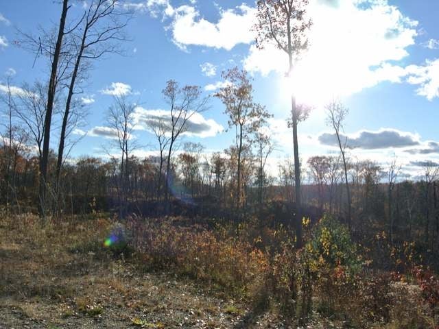254-acres Kaubashine Road Hazelhurst, WI 54531 - Photo 67 of 78 Gallery Image 67