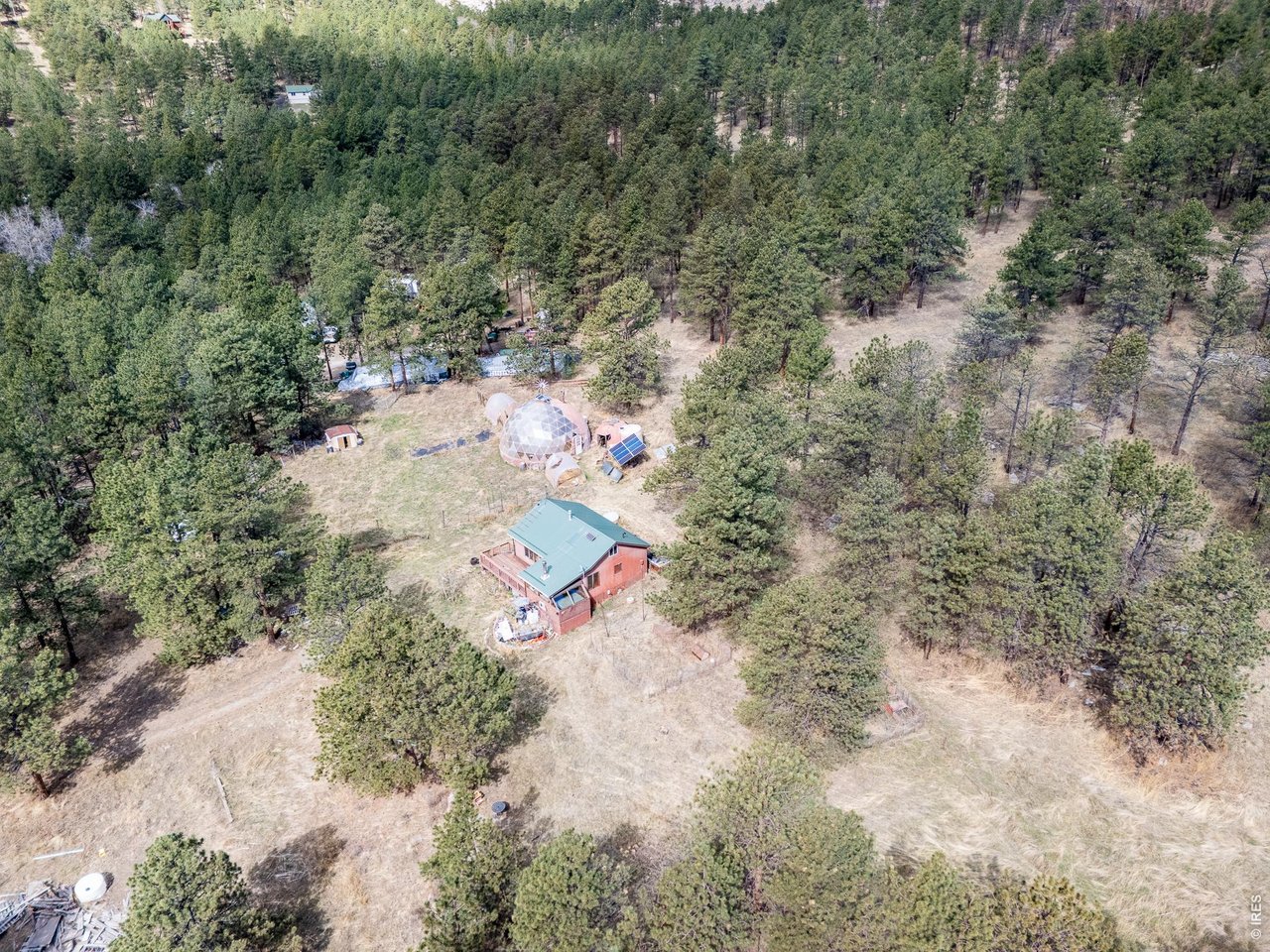 263 Badger Court Drake, CO 80515 - Photo 33 of 41 a view of a forest with a yard