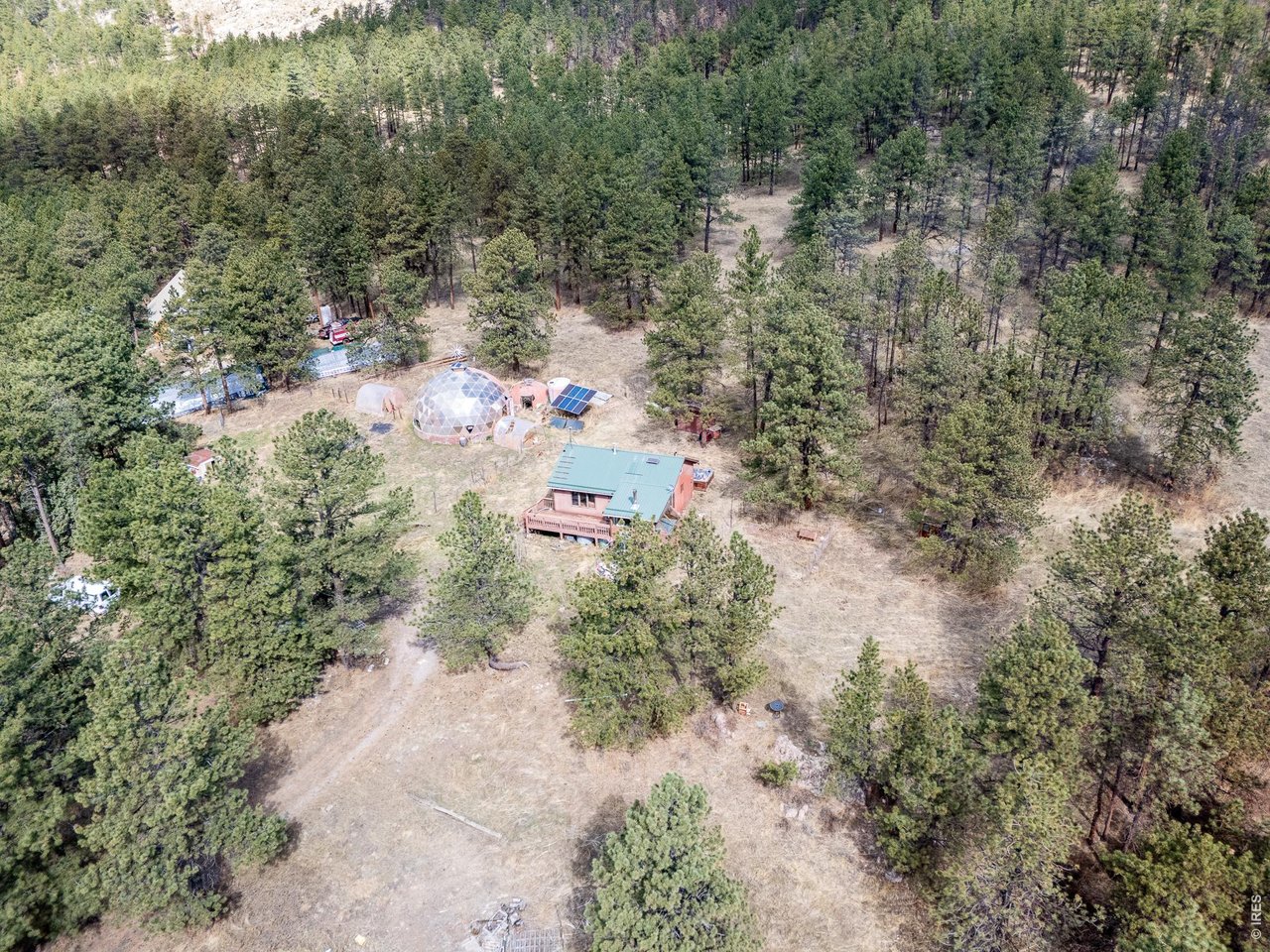 263 Badger Court Drake, CO 80515 - Photo 34 of 41 a view of a forest with a yard