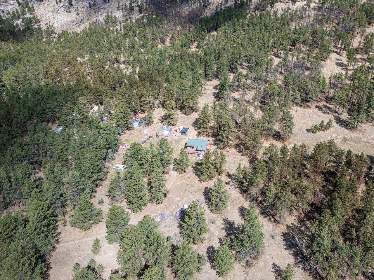 263 Badger Court Drake, CO 80515 - Photo 35 of 41 a view of a forest with a tree