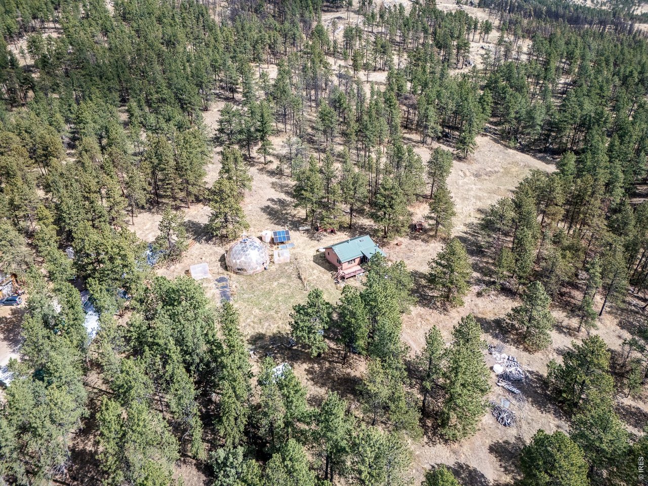263 Badger Court Drake, CO 80515 - Photo 36 of 41 a view of a yard with plants and trees