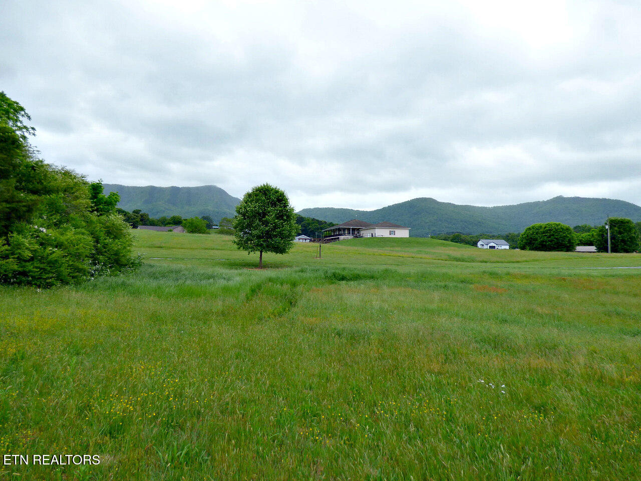 Lot 13 County Line Road Dandridge, TN 37725 - Photo 13 of 14 P1310363