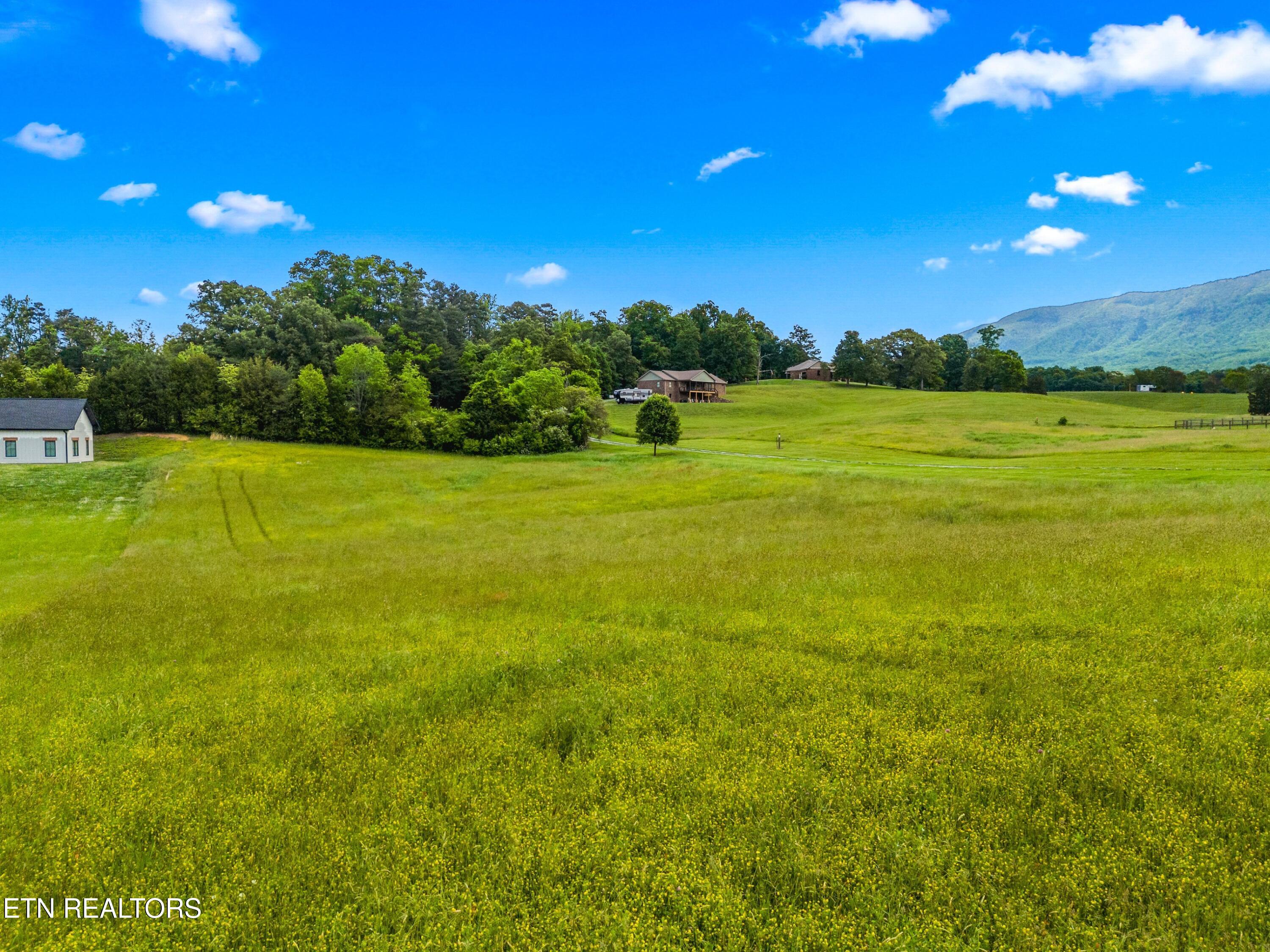 Lot 13 County Line Road Dandridge, TN 37725 - Photo 10 of 14 011-CountyLineRoad-DANDRIDGE-TN-37725-SM