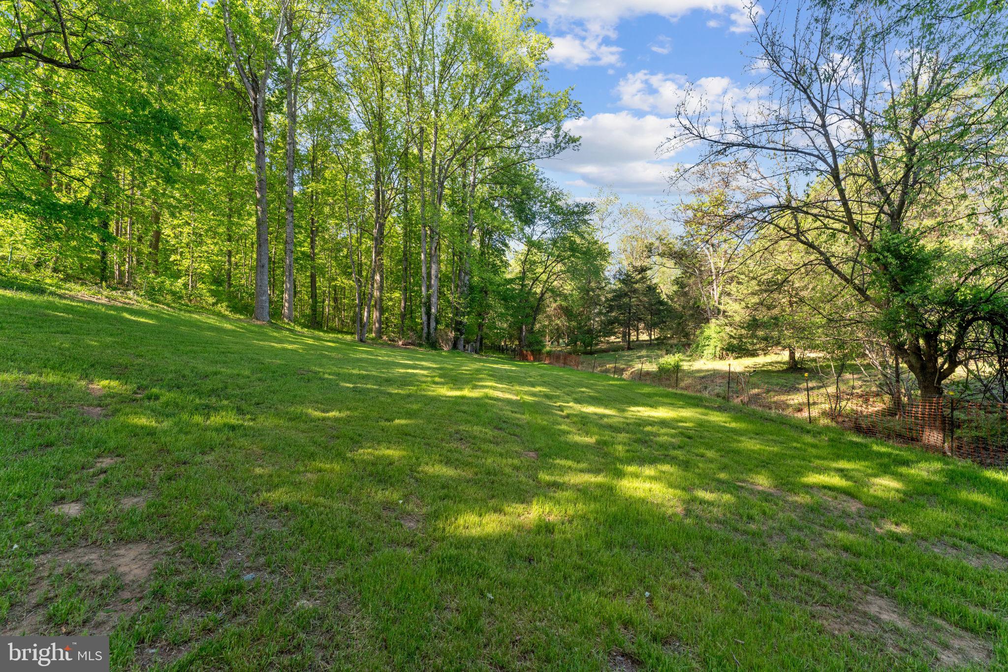 850 Oak Park Road Madison, VA 22727 - Photo 19 of 19