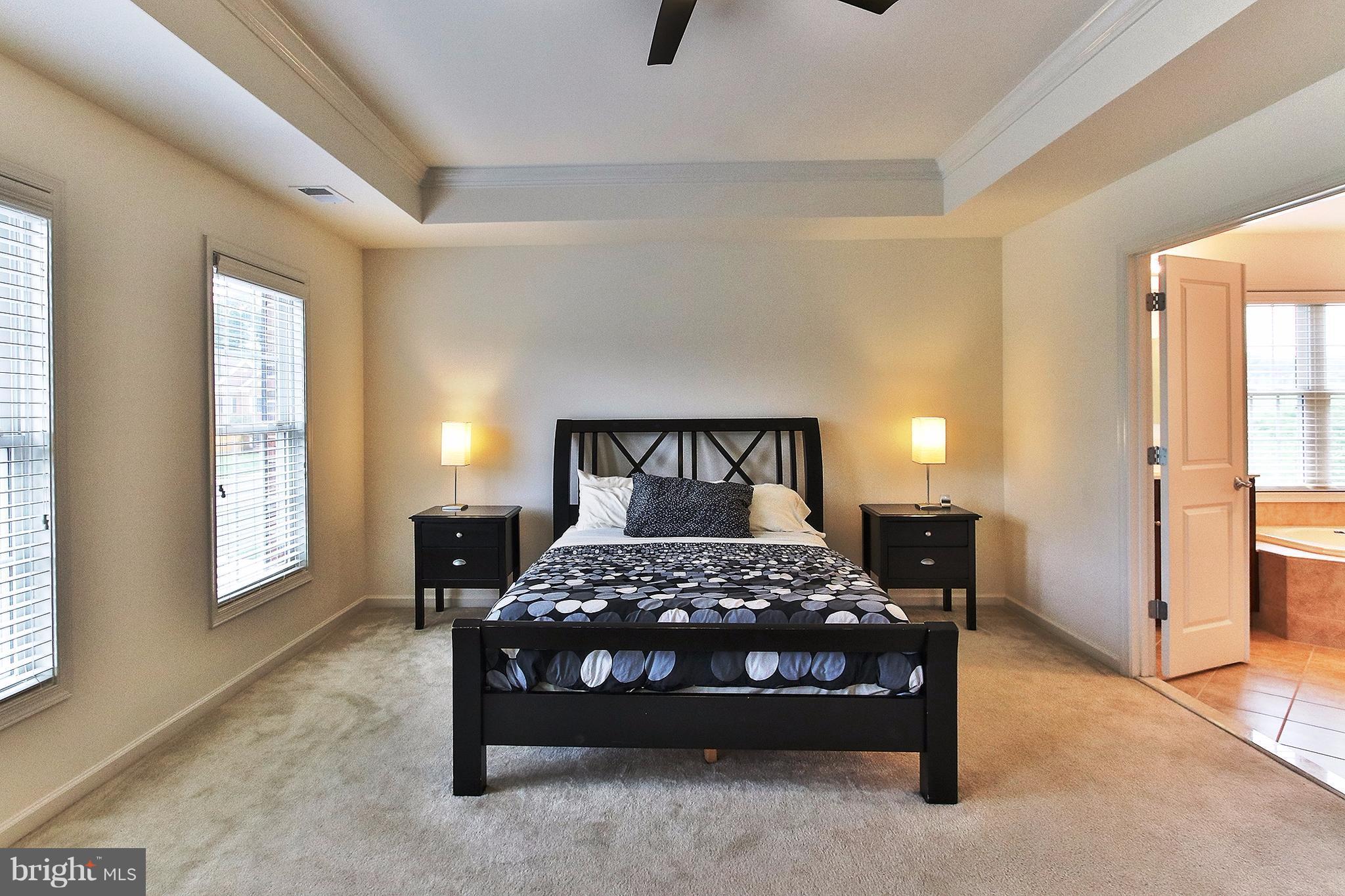 42338 Rising Moon Place Ashburn, VA 20148 - Photo 14 of 29 Bedroom (Master)