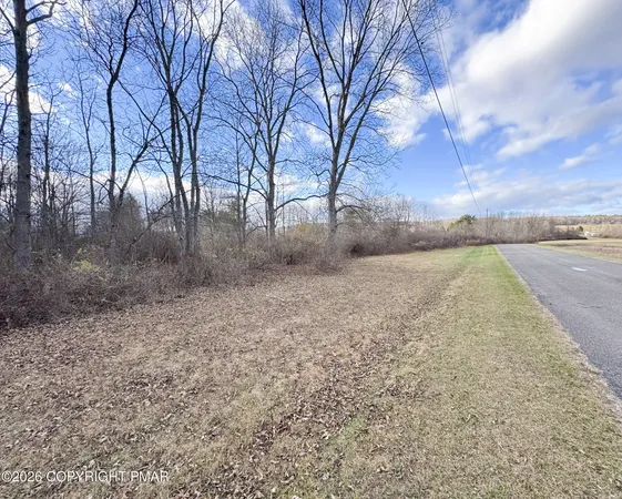 a view of outdoor space with trees all around