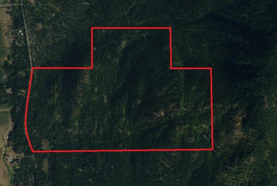 3670 Deep Lake Boundary Road Colville, WA 99114 - Photo 1 of 1 Gallery Image 1