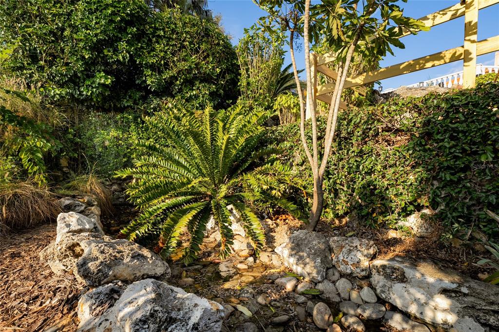 11148 Lane Park Road Tavares, FL 32778 - Photo 22 of 98