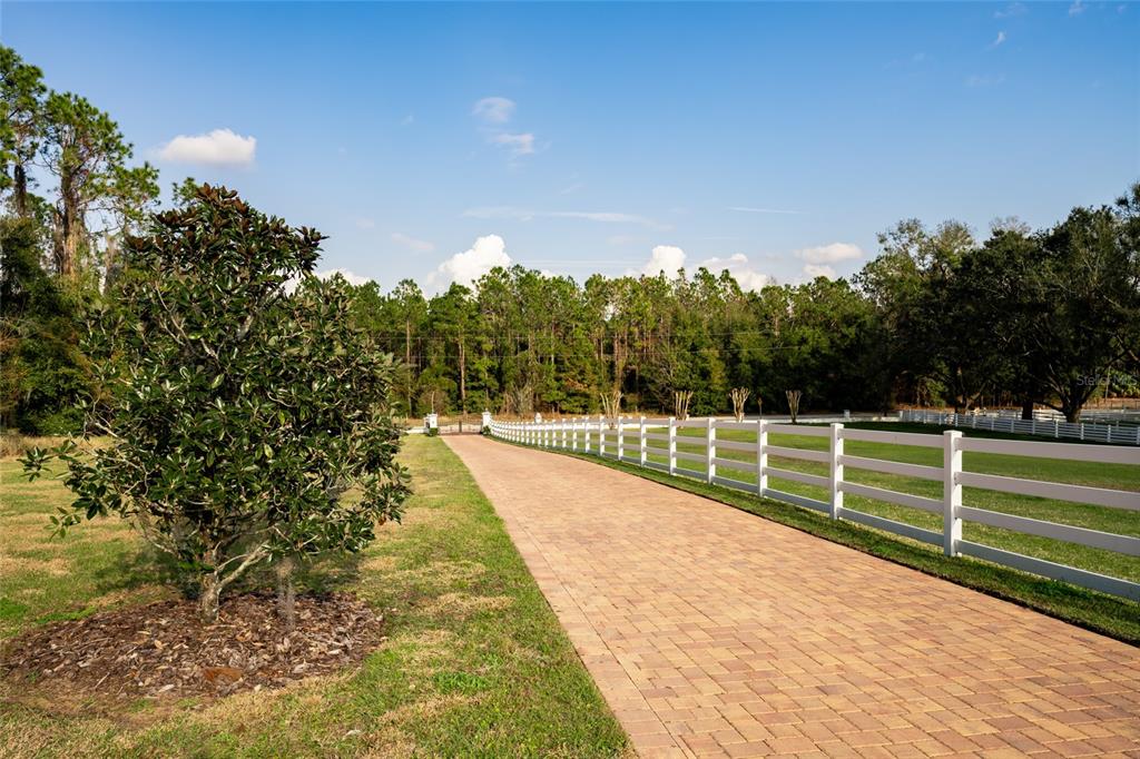 11148 Lane Park Road Tavares, FL 32778 - Photo 39 of 98