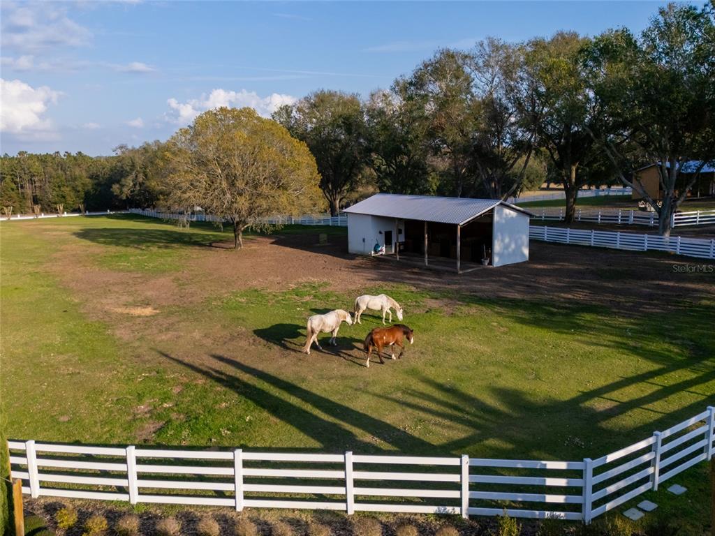 11148 Lane Park Road Tavares, FL 32778 - Photo 41 of 98