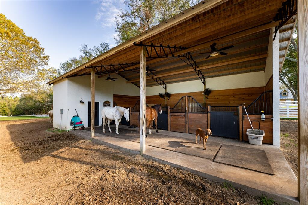 11148 Lane Park Road Tavares, FL 32778 - Photo 42 of 98