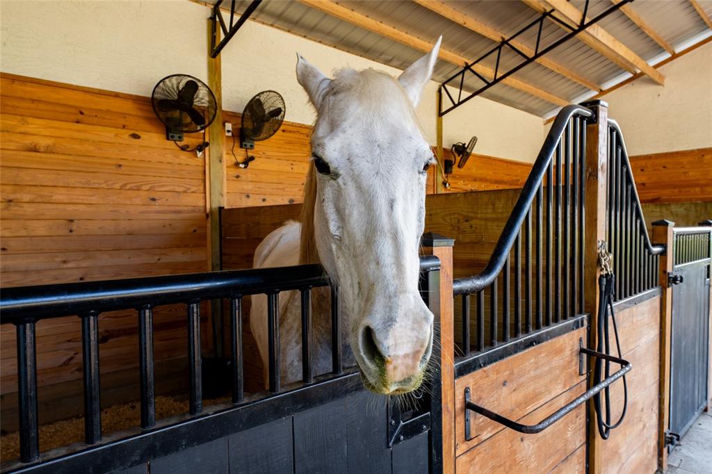 11148 Lane Park Road Tavares, FL 32778 - Photo 44 of 98