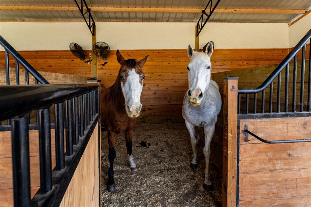 11148 Lane Park Road Tavares, FL 32778 - Photo 46 of 98