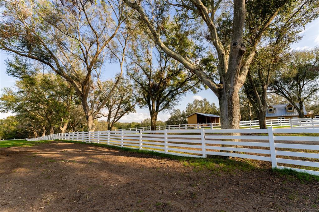 11148 Lane Park Road Tavares, FL 32778 - Photo 52 of 98