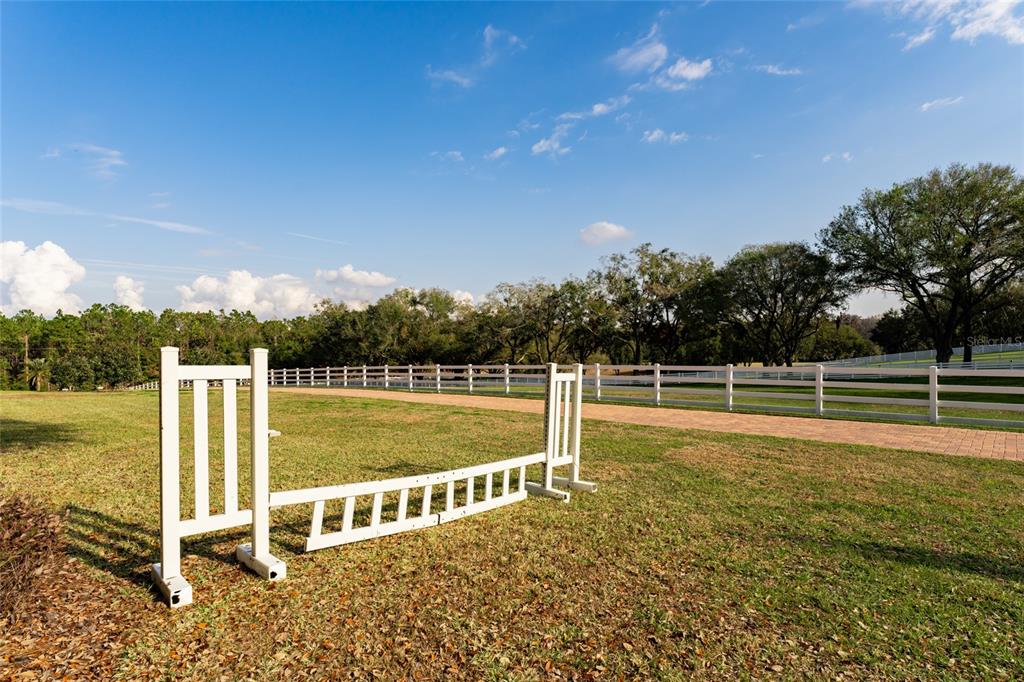 11148 Lane Park Road Tavares, FL 32778 - Photo 53 of 98