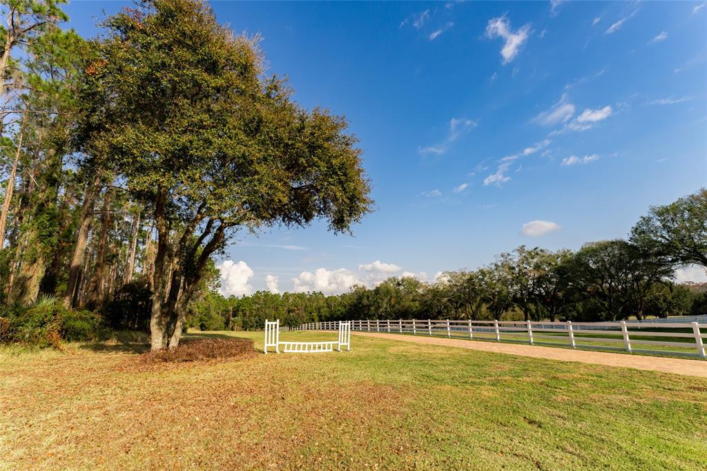 11148 Lane Park Road Tavares, FL 32778 - Photo 54 of 98