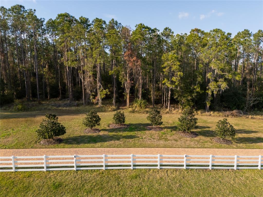 11148 Lane Park Road Tavares, FL 32778 - Photo 55 of 98