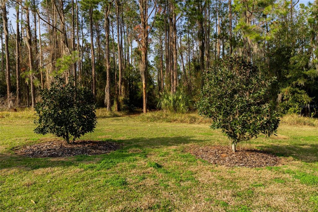 11148 Lane Park Road Tavares, FL 32778 - Photo 56 of 98