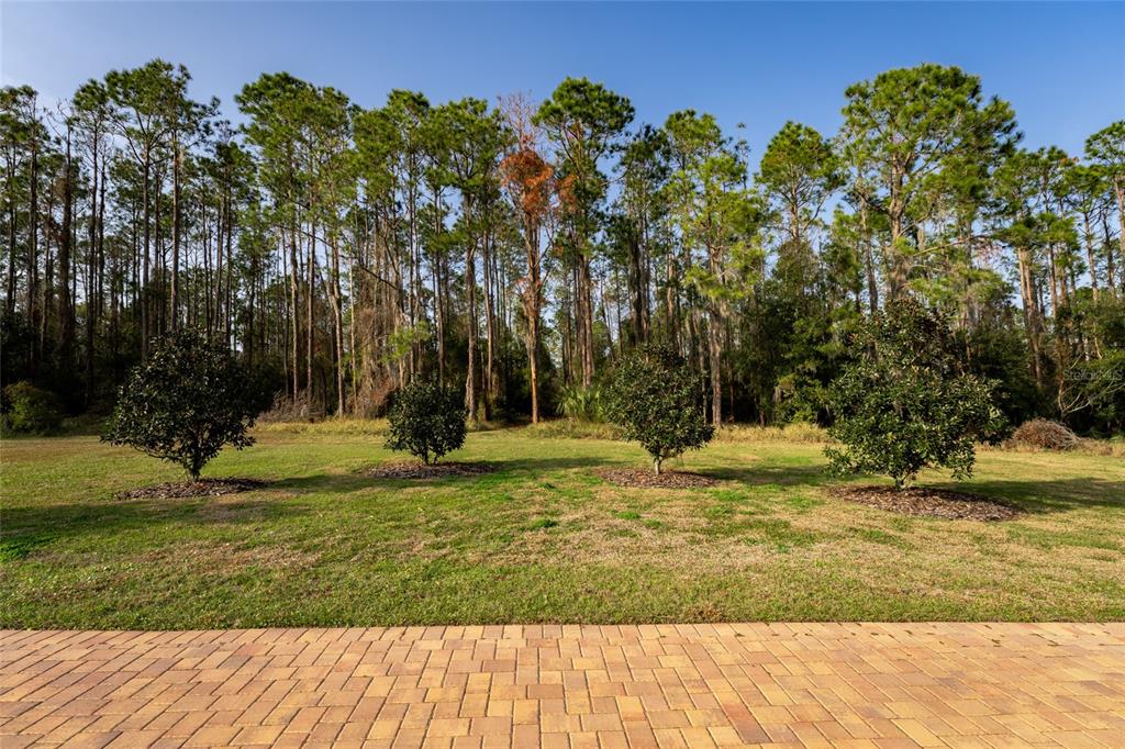 11148 Lane Park Road Tavares, FL 32778 - Photo 57 of 98