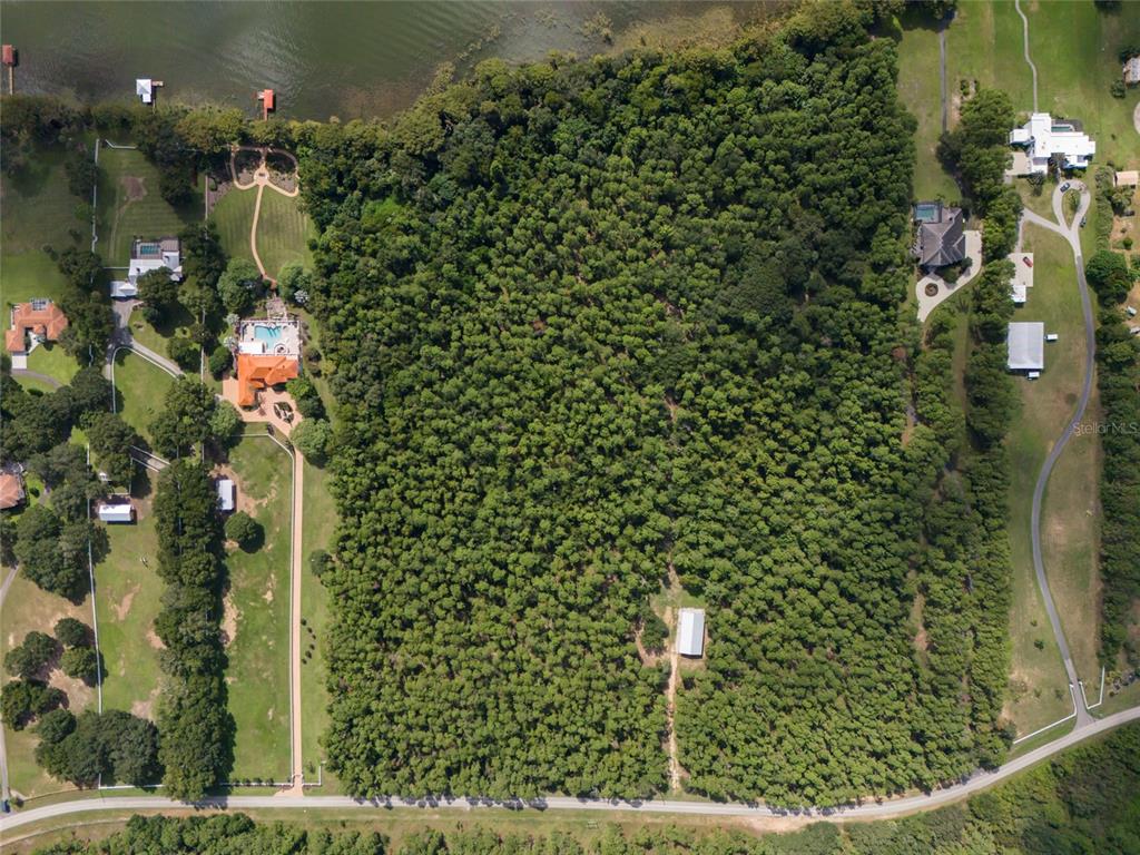 11148 Lane Park Road Tavares, FL 32778 - Photo 8 of 98