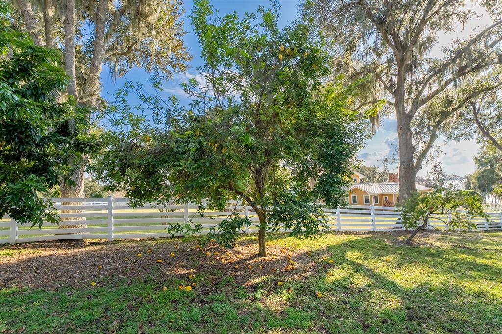 11148 Lane Park Road Tavares, FL 32778 - Photo 92 of 98