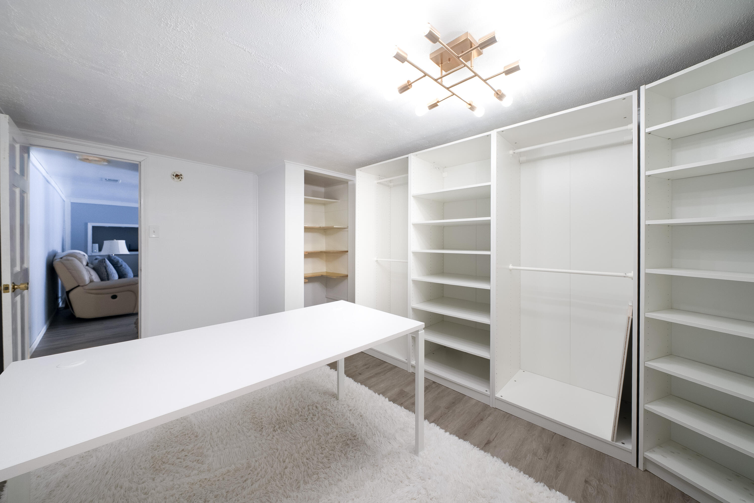 14909 Hickory Street Spring Lake, MI 49456 - Photo 31 of 51 20. Walk In Closet 1-2