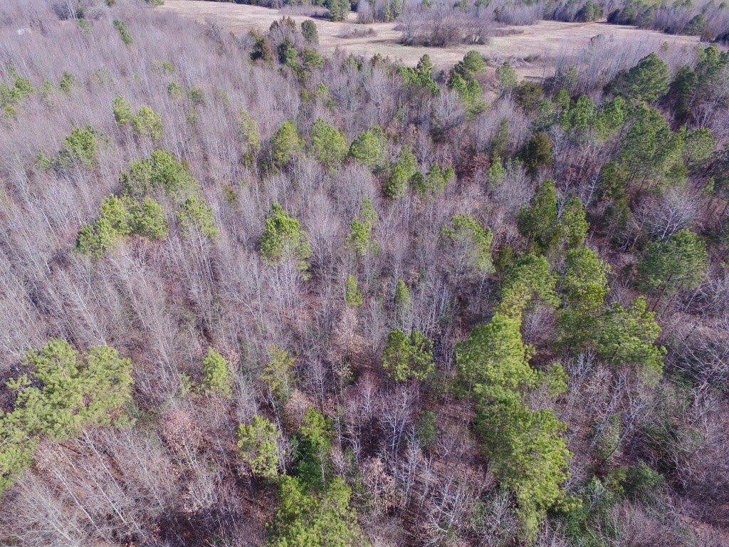 0 Taylor Ferry Road Boydton, VA 23917 - Photo 15 of 36 Gallery Image 15