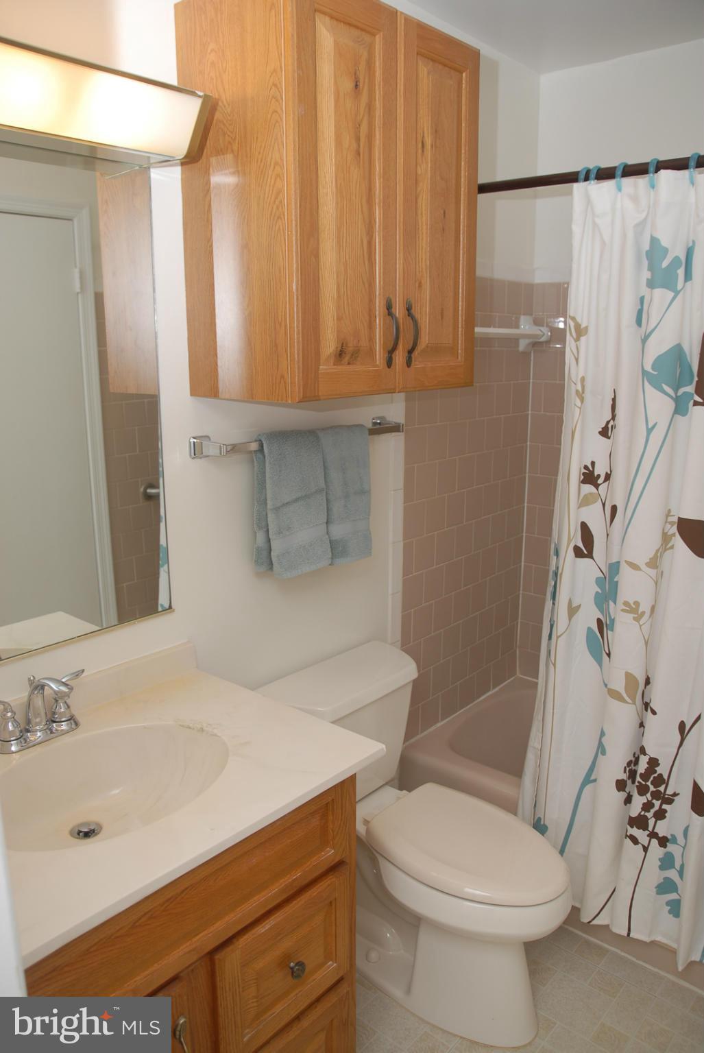 1518 Stuart Road Herndon, VA 20170 - Photo 12 of 16 Bath (Master)