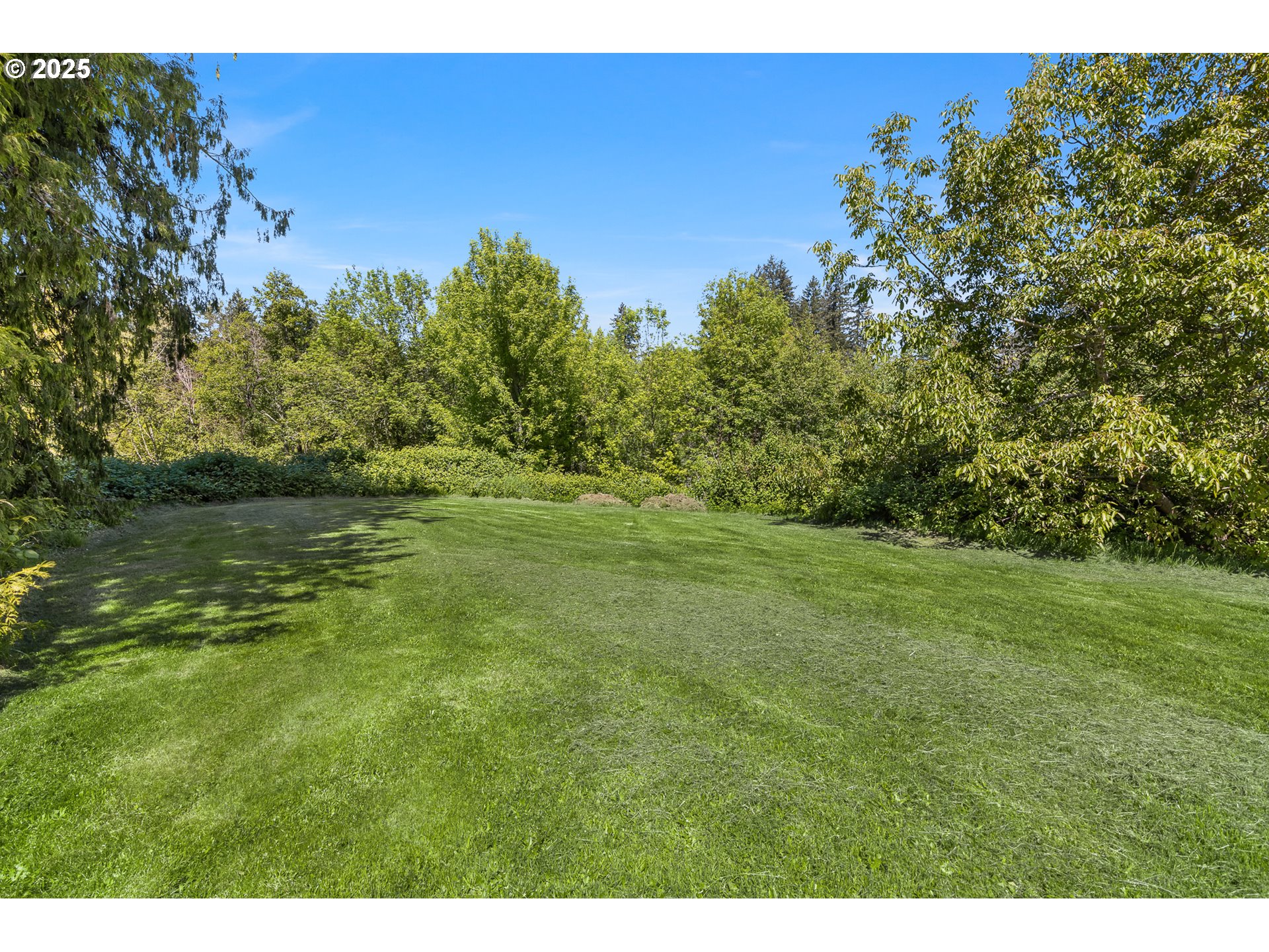 16565 Southwest Meinecke Road Sherwood, OR 97140 - Photo 19 of 31 Gallery Image 19
