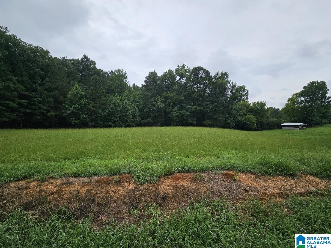 0 James Taylor Road Moody, AL 35004 - Photo 3 of 5
